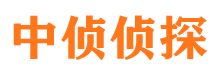 崇仁市调查公司